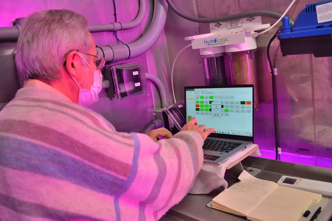 Salades en containers